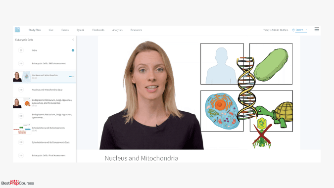 An image of a blueprint MCAT lecture video.